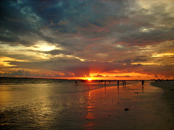 EUPHORIA,