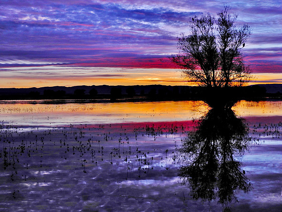 SERENITY